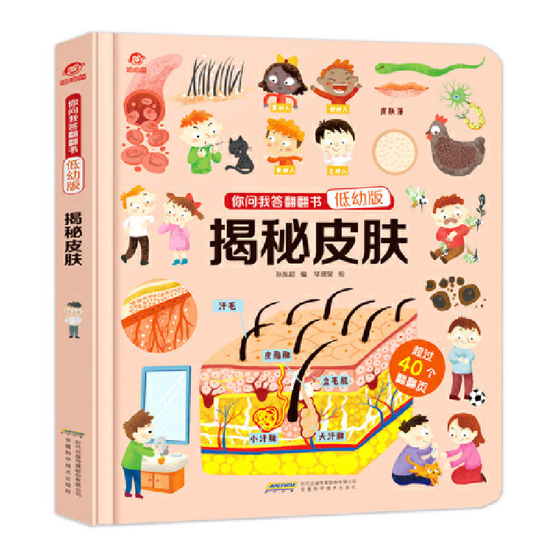揭秘皮肤