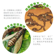 Load image into Gallery viewer, 科普立体书·法布尔昆虫记

