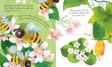 Load image into Gallery viewer, Peep Inside a Beehive
