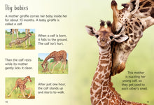 Load image into Gallery viewer, Usborne Beginners - Giraffes

