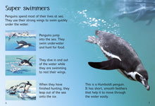 Load image into Gallery viewer, Usborne Beginners - Penguins
