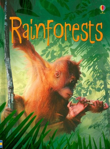 Usborne Beginners - Rainforests