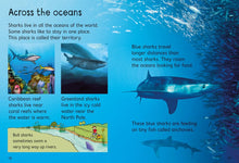 Load image into Gallery viewer, Usborne Beginners - Sharks
